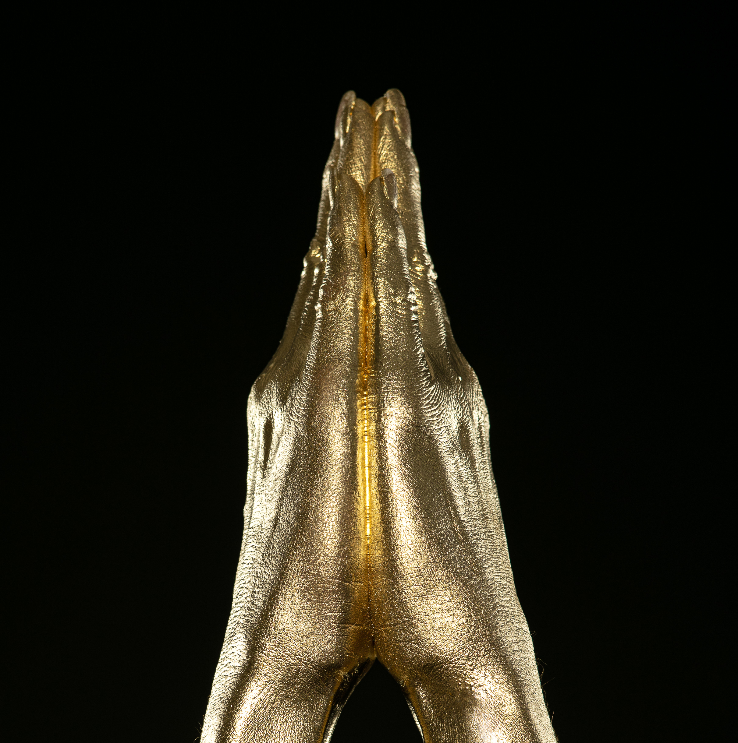Gold-Bodypainting-Kunstwerk (goldene Hände) von René Lüdke, versteigert bei der „Nacht der Kolibris
